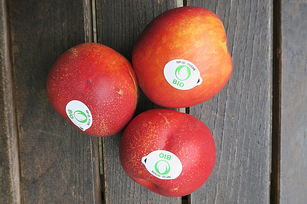 Trois nectarines mûres, chacune portant un autocollant « Knospe », sont posées sur une table en bois. 
