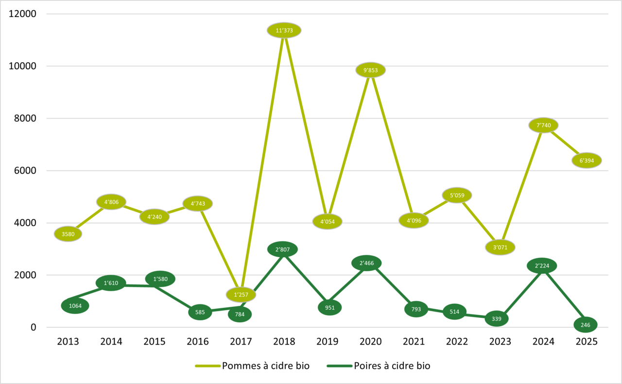 Quantités de fruits à cidre bio transformées