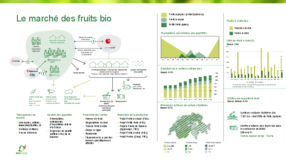Le marché des fruits bio en un coup d’œil