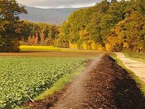 Méthodes de compostage au niveau de l'exploitation agricole