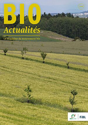 Page de couverture du Bioactualités 1|24: Des prairies/champs avec de jeunes arbres isolés