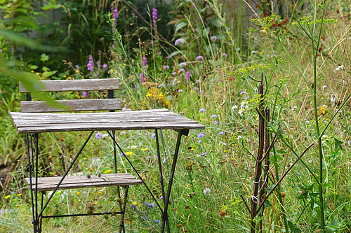 Une table et une chaise dans un jardin.
