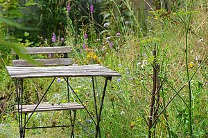 Une table et une chaise dans un jardin.