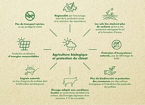 Graphique avec différents symboles