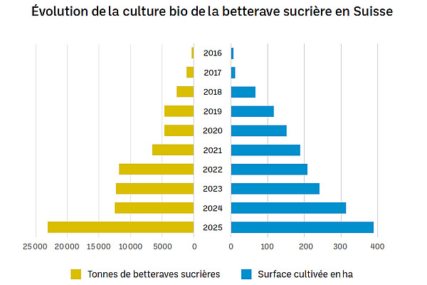 Graphique.