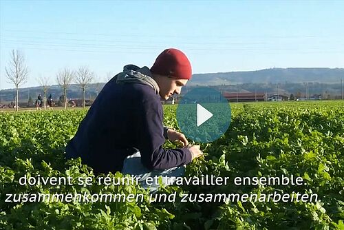 Jeune homme accroupi dans un champs de légumes