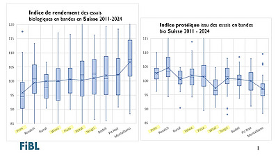 Graphique montrant l'indice de rendement et l'indice protéique issus des essais sur bandes biologiques.