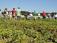 Daniel Hangartner devant un groupe de personnes dans un champ de pommes de terre