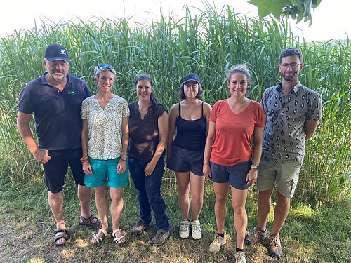 6 personnes posent devant une parcelle de miscanthus