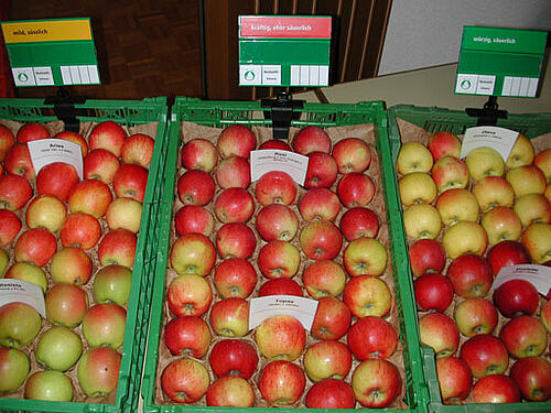 Pommes à l’étalage avec trois catégories gustatives « douces et sucrées », « aromatiques et plutôt acidulées » et « corsées et acidulées ».