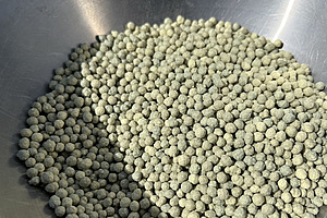 Dans un bol, on peut voir de petits grains verdâtres. 