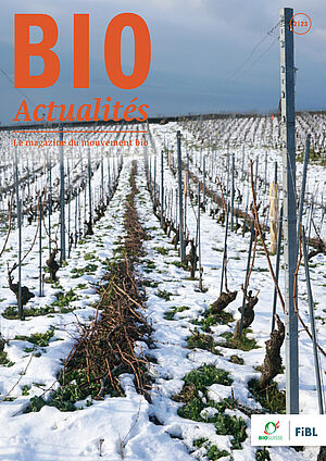 Page de couverture du Bioactualités 2|23: Des vignes avec de la neige
