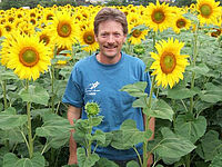 André Horisberger au milieu de son champ de tournesols en fleurs.