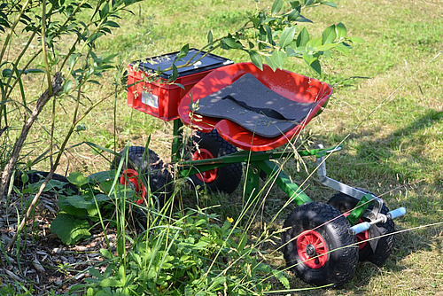 [Translate to Französisch:] A côté d'une plante de myrtille, on peut voir un petit chariot à sièges avec quatre roulettes.