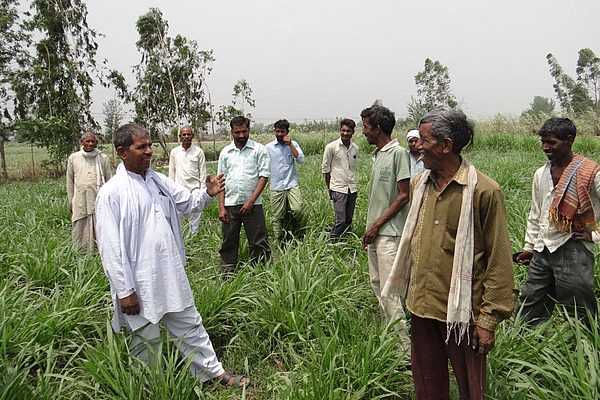 Des agriculteurs indiens se tiennent dans un champ.
