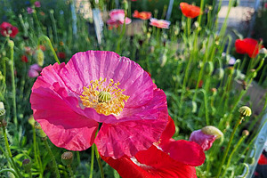 [Translate to Französisch:] 