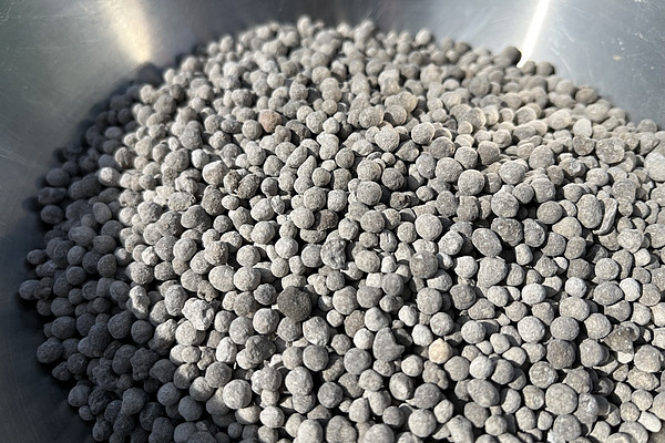 Dans un bol, on peut voir de petits grains gris. 