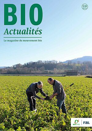 Page de couverture du Bioactualités 2|2020 - deux hommes dans un champ avec de l'engrais vert