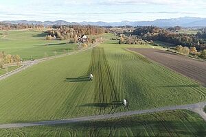 Champ d'en haut avec des traces de lisier