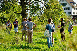 Un groupe de personnes se tient dehors dans la verdure et discute.
