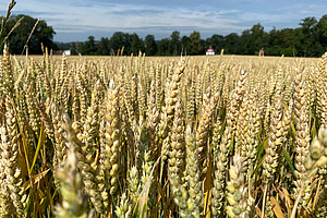 [Translate to Französisch:] 