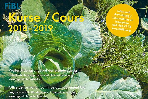 Page de couverture du programme