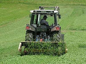 Ein Traktor zieht einen Mulchgerät in einem Gründüngungbestant.