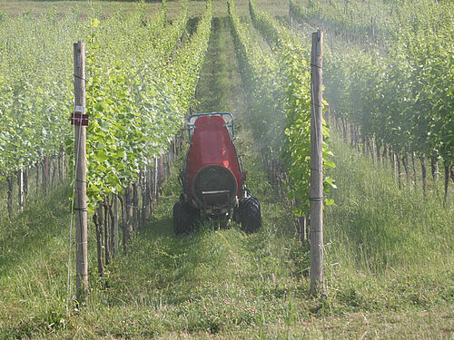 Pompe à traiter au travail dans une vigne