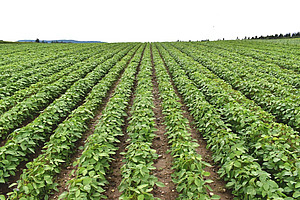 [Translate to Französisch:] 