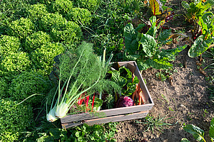 [Translate to Französisch:] 