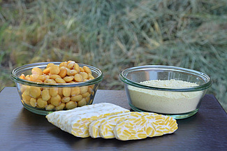 Sur une table à l'extérieur se trouvent deux petits bols : l'un contient des graines, l'autre de la farine. Devant, on voit du tempeh coupé en tranches, une masse blanche et ferme contenant des graines de lupin. 