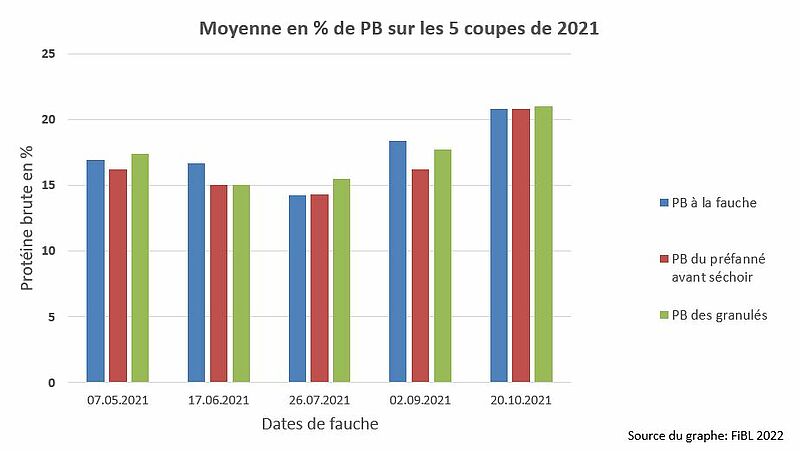 LA CULTURE DE L'HERBE : ON PEUT LA FAIRE À PEU DE FRAIS