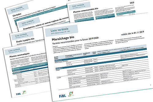 six listes variétales en éventail