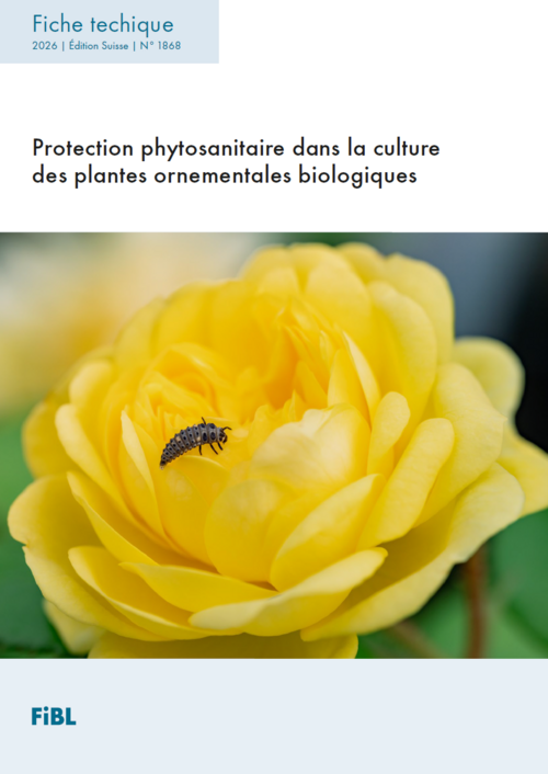 Voici la page de couverture de la fiche technique : Protection phytosanitaire dans la culture biologique des plantes ornementales. On y voit une plante ornementale jaune vers laquelle s'approche un insecte utile.