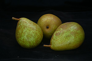 drei grünlich-gelbe Birnen mit braunen Sprenkeln auf einer schwarzen Unterlage