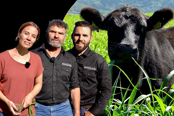 [Translate to Französisch:] 