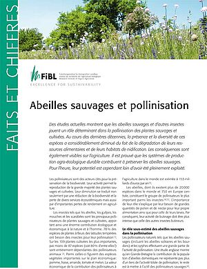 titre de la fiche technique «Abeilles sauvages et pollinisation»