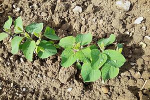 [Translate to Französisch:] 