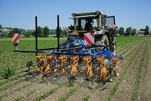 Blauer Traktor mit Hacken im Sojafeld
