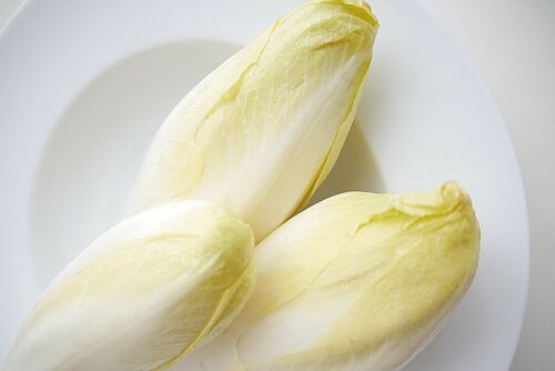 Légumes d'endive sur une assiette. 