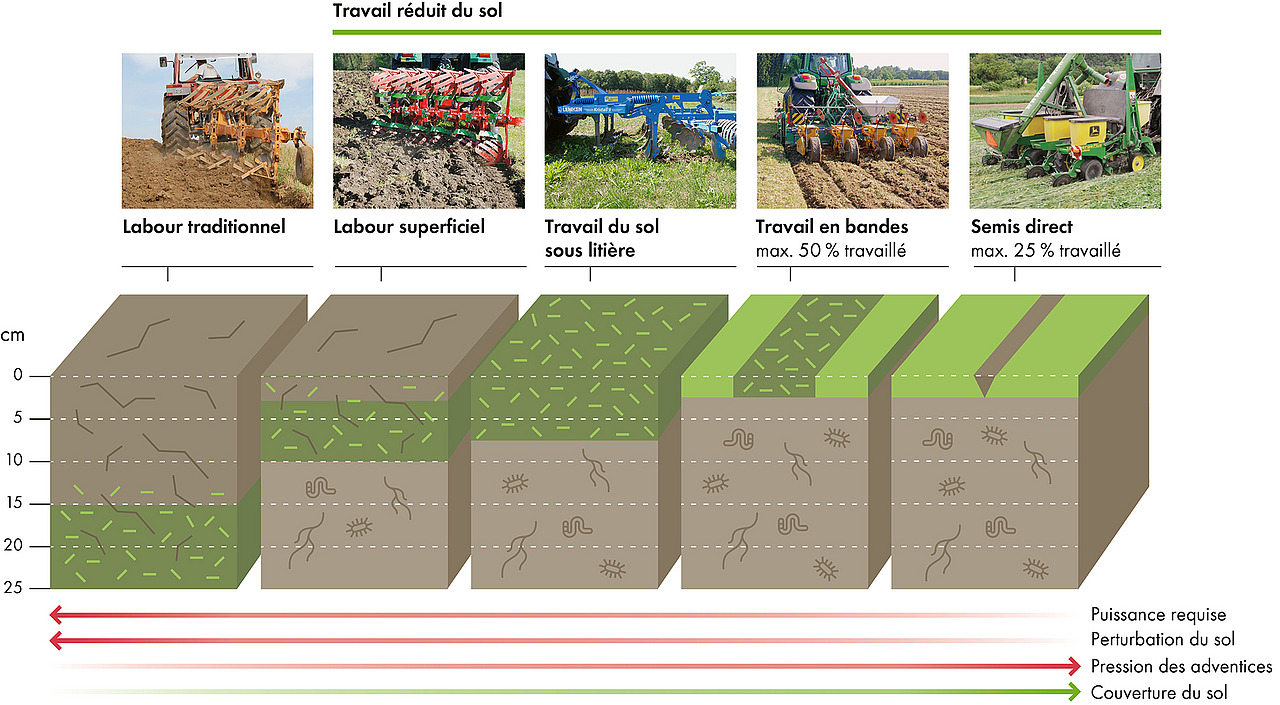 Graphique comparant le labour traditionnel, le labour superficiel, le travail du sol avec paillage, le travail en bandes et le semis direct.