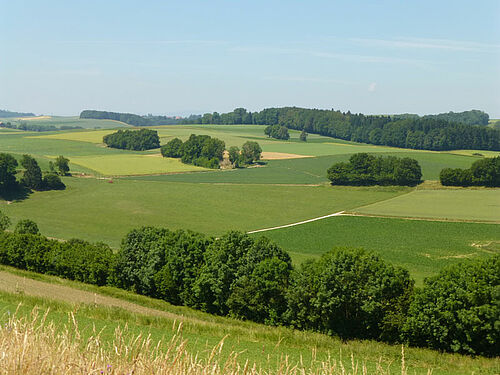 Paysage très diversifié dans le Gros de Vaud: champs de différentes couleurs, haies, bosquets...