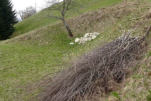 un tas de branches et un amas de pierres