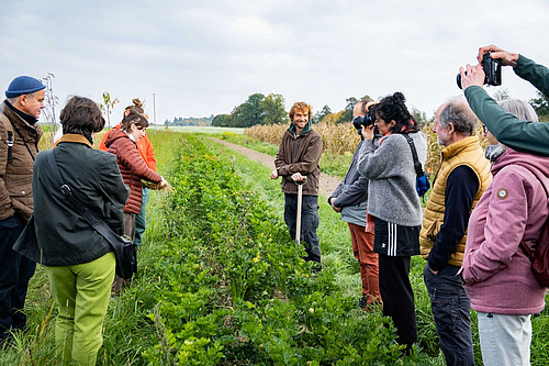 Des gens sont debout à gauche et à droite autour d'un champ de légumes et écoutent quelqu'un.