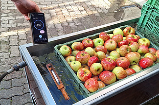 Une boîte remplie d'eau et une boîte de pommes, un termomètre et un réveil. 