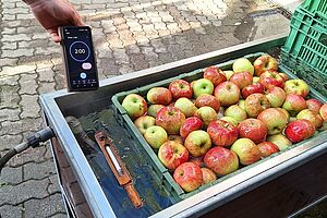 Une boîte remplie d'eau et une boîte de pommes, un termomètre et un réveil. 