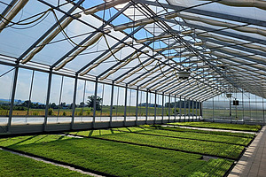 [Translate to Französisch:] 