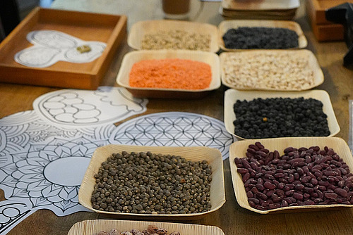 Schälchen gefüllt mit verschiedenen Hülsenfrüchten.