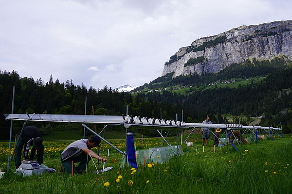 Devant un sommet alpin, des abris contre la pluie sont dressés dans un pré ; en dessous, des personnes sont à genoux et travaillent sur le sol. 