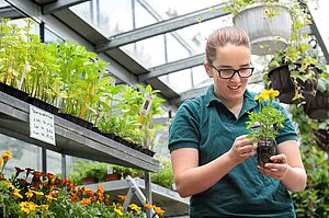 La jeune femme dans la serre aurait une plante jaune dans les mains